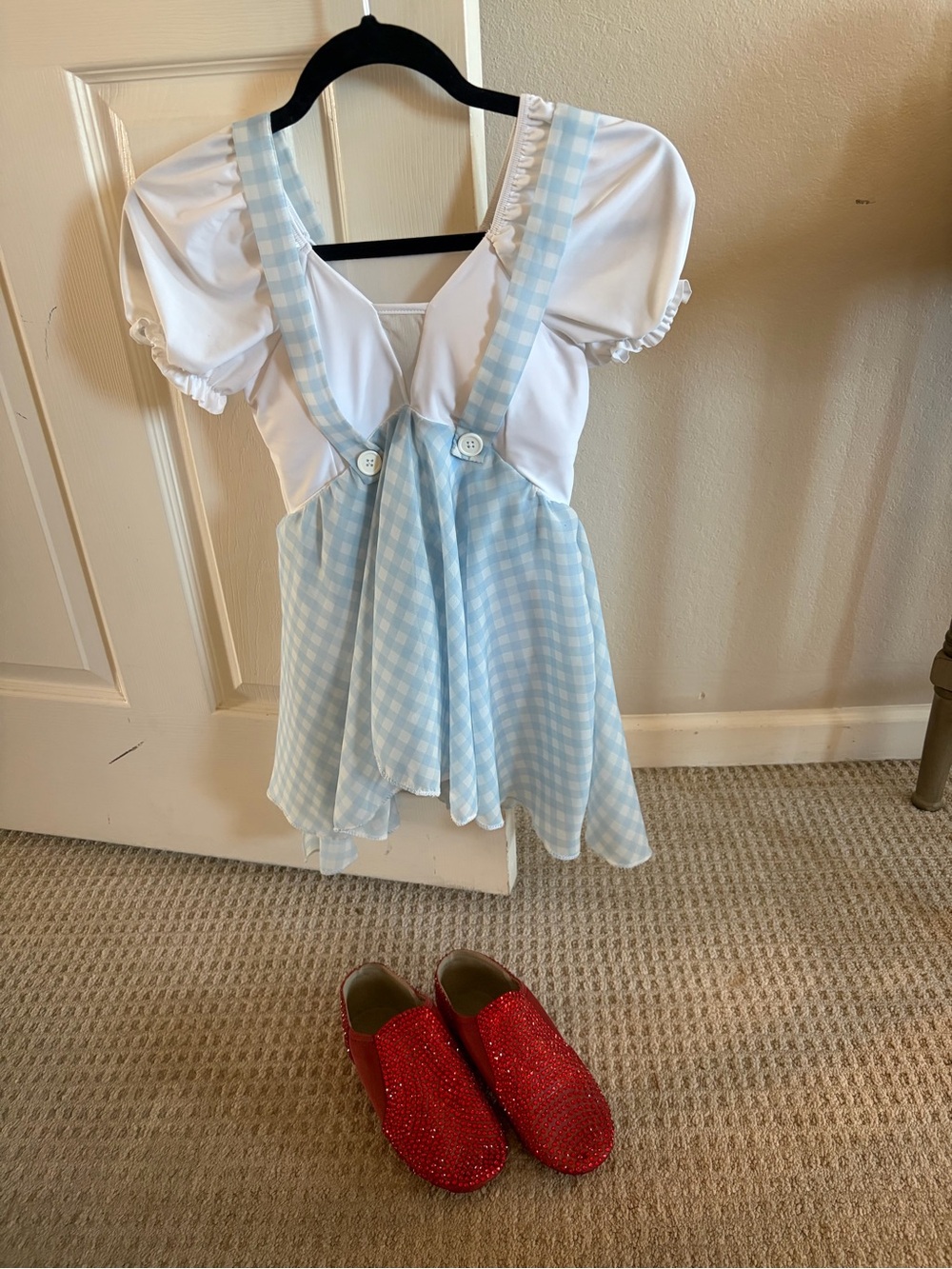 Kids Blue Gingham Dorothy Costume Dress with White Blouse